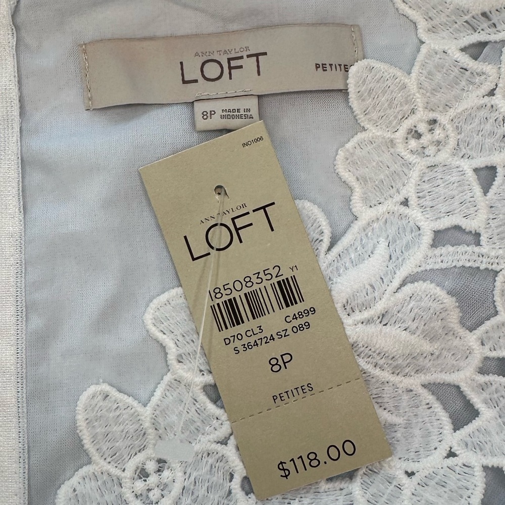 RELISTED LOFT White Lace Dress with Pale Blue Underlay NWT Women’s Size 8 Petite - Picture 8 of 12